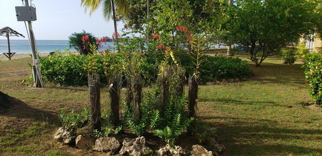 Starfish Tobago Hotel Black Rock Kültér fotó