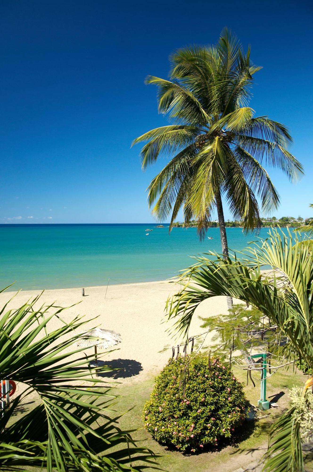 Starfish Tobago Hotel Black Rock Kültér fotó